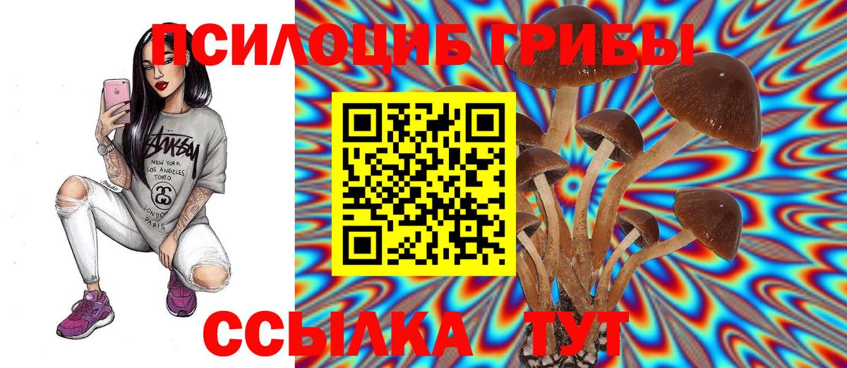 Галлюциногенные грибы GOLDEN TEACHER Миасс