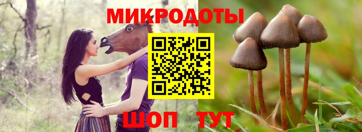 Миасс  Псилоцибиновые грибы мицелий  Вход с VPN 